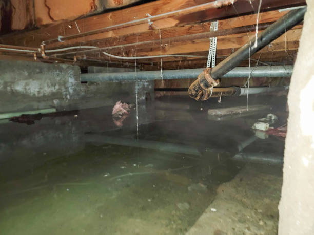 Best Water damage restoration mold remediation  in Germantown, TN