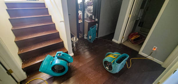 Best Carpet water damage restoration  in Germantown, TN