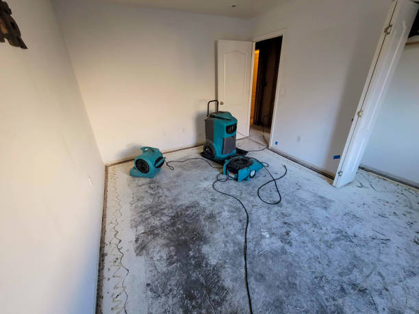 Best 24/7 water damage repair  in Germantown, TN