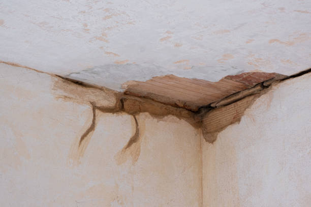Best Flooded house restoration  in Germantown, TN