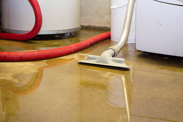 Best Flood damage cleanup  in Germantown, TN