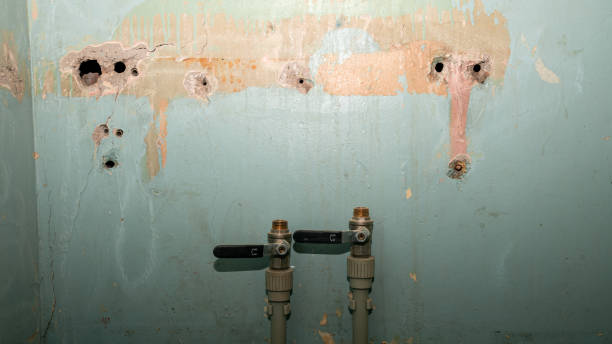 Best Emergency water damage restoration  in Germantown, TN