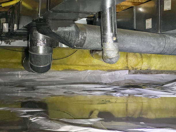 Best Local water damage restoration  in Germantown, TN