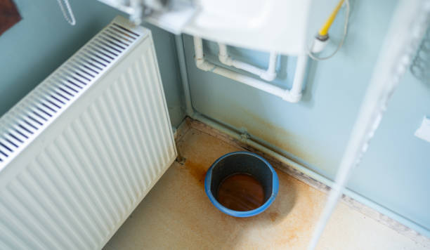 Best Carpet water damage restoration  in Germantown, TN