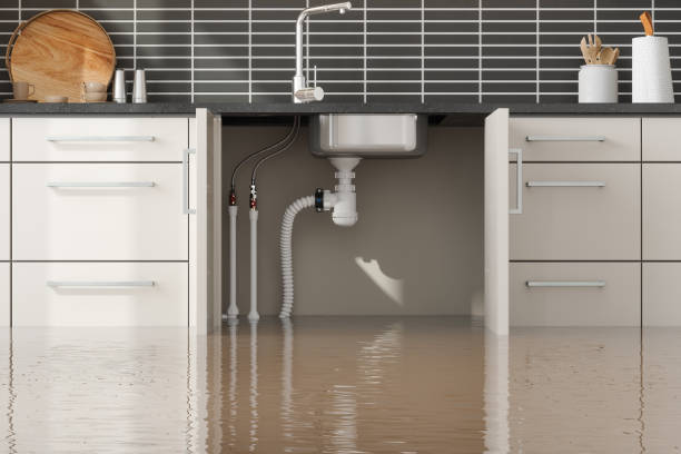 Best Local water damage restoration  in Germantown, TN