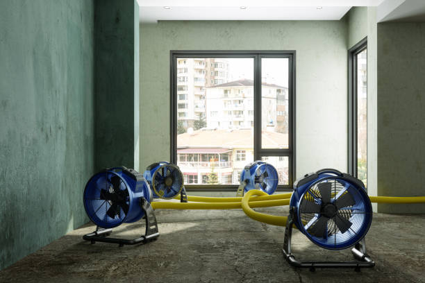 Sewage cleanup and water damage restoration in Germantown, TN