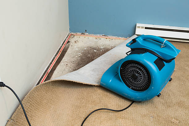 Best Residential water damage restoration  in Germantown, TN